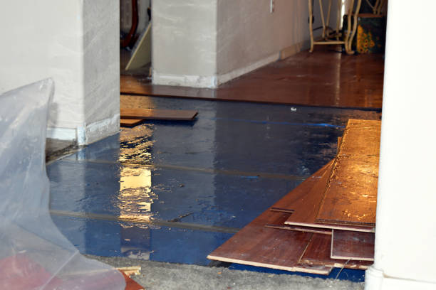 Professional Burst Pipe Cleanup technician working in Cascade, ID